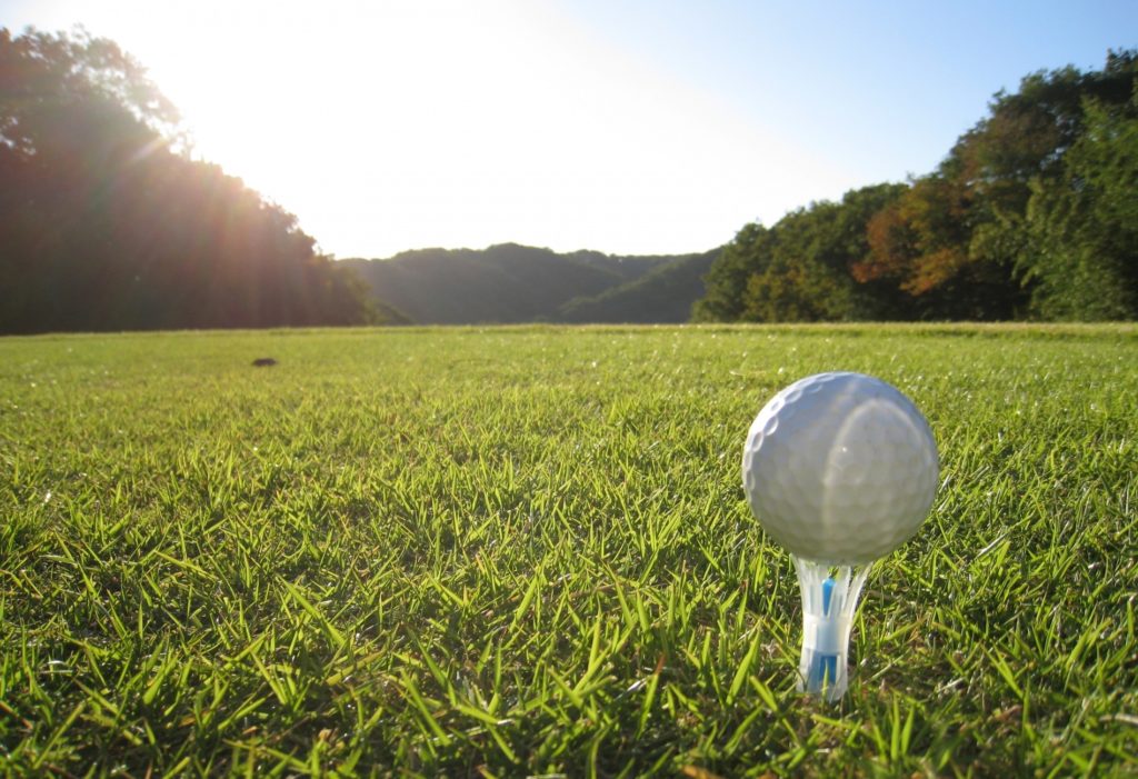 ゴルフボールダイバー_ゴルフボール