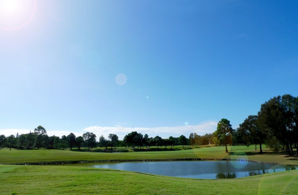 ゴルフボールダイバー_ゴルフ場の池