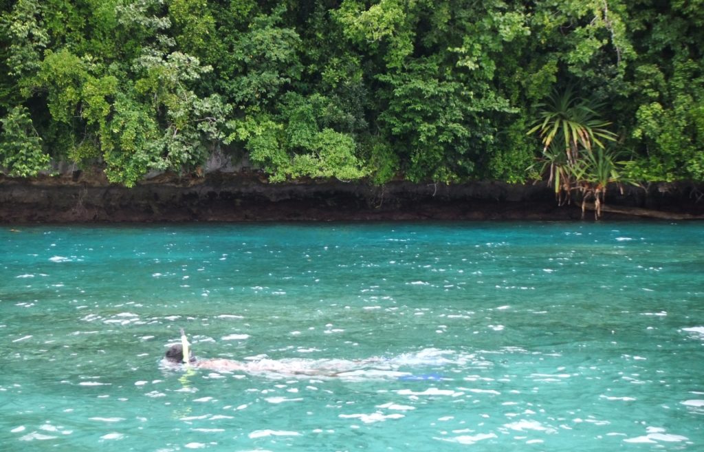 ゴルフボールダイバー_リスクのある仕事