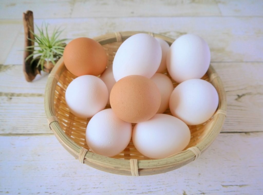 スペインの朝食_スパニッシュオムレツ_卵