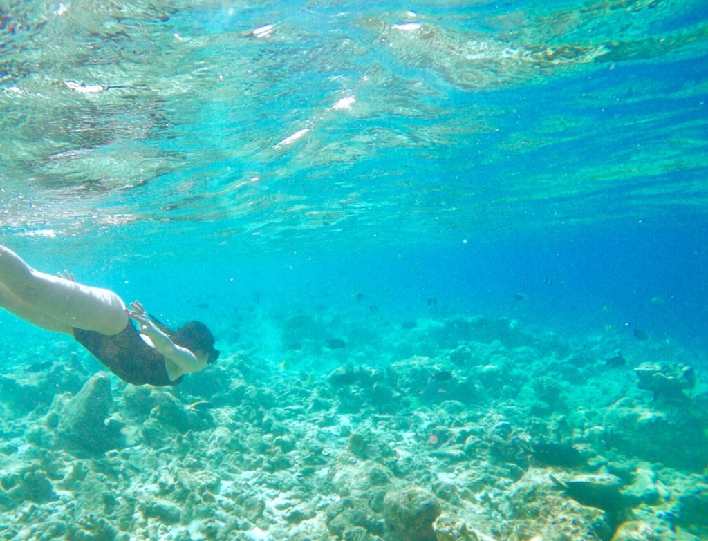 モルディブ_シュノーケリング