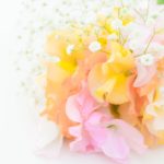 お花の定期便サービス比較