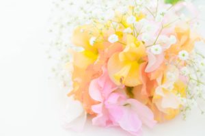 お花の定期便サービス比較