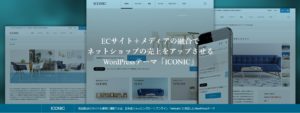 wordpress-theme-iconic-tcd062