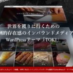 wordpress-theme-toki-tcd069