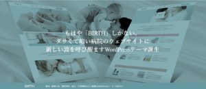 wordpress-theme-birth-tcd057